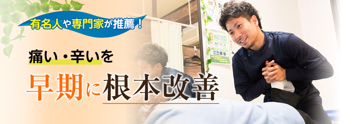 ５年以上の悩んだ首や肩の痛みがすーっと楽になる骨調整と筋膜リリースと内臓整体でプロの治療家11人が推薦する施術を体験してみませんか？